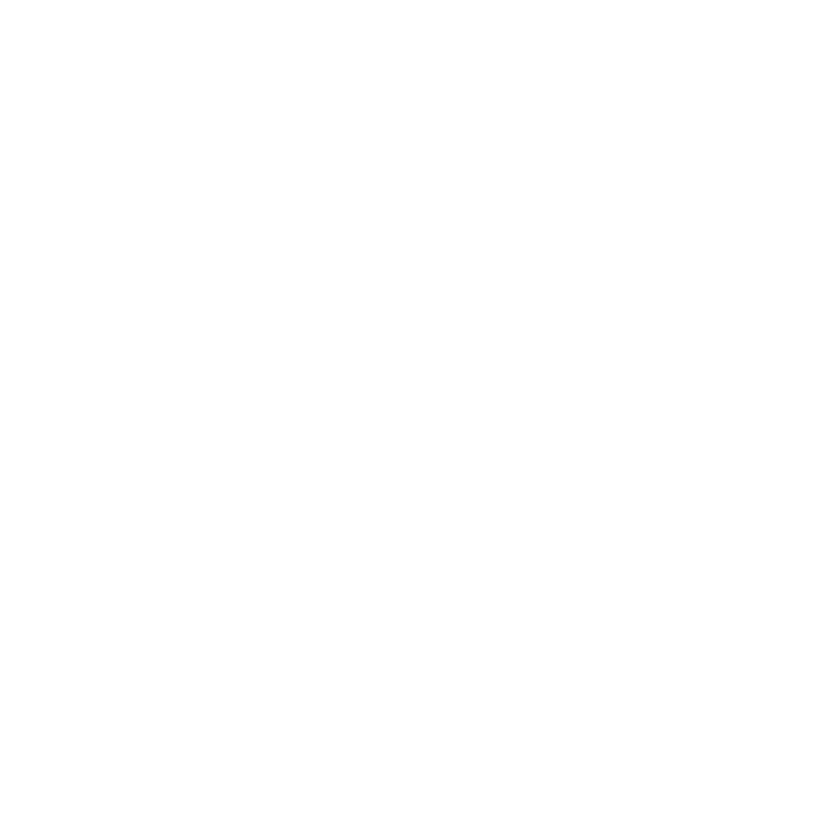 Vision To Venture
